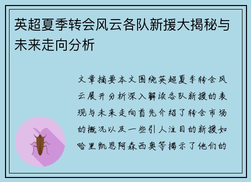 英超夏季转会风云各队新援大揭秘与未来走向分析 英超夏季转会风云各队新援大揭秘与未来走向分析